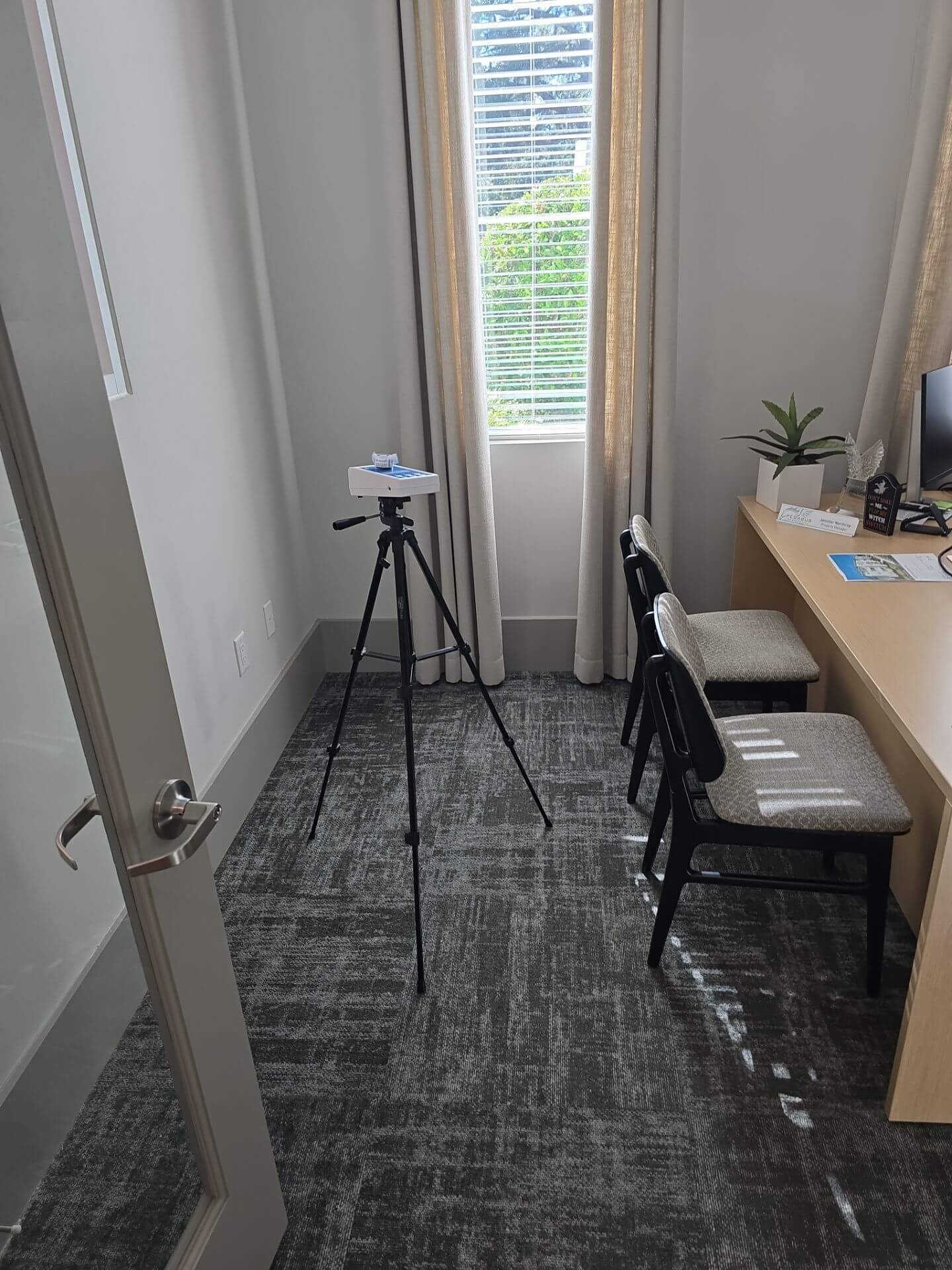 Commercial Mold Inspection