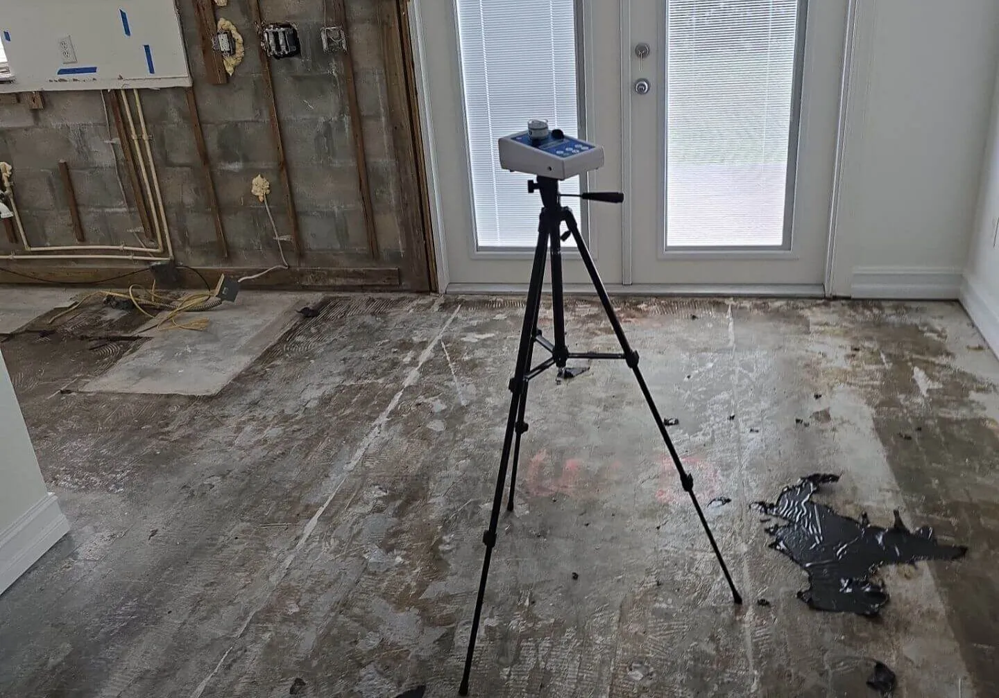 Mold Testing