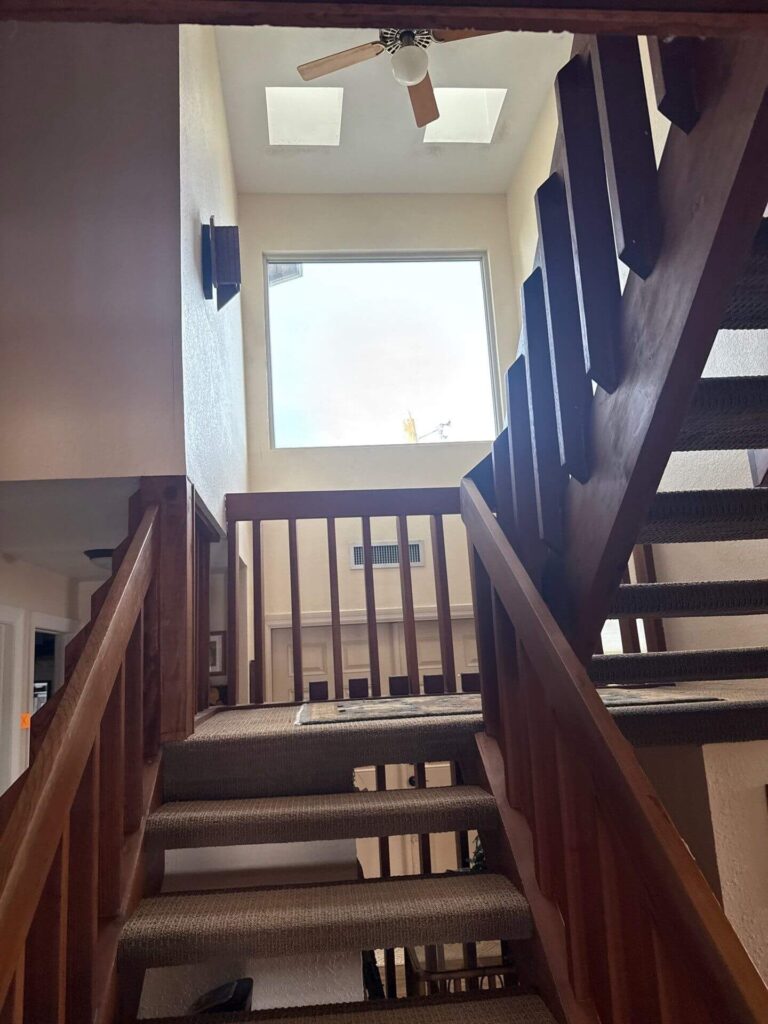 1 ettabeth menszycki project