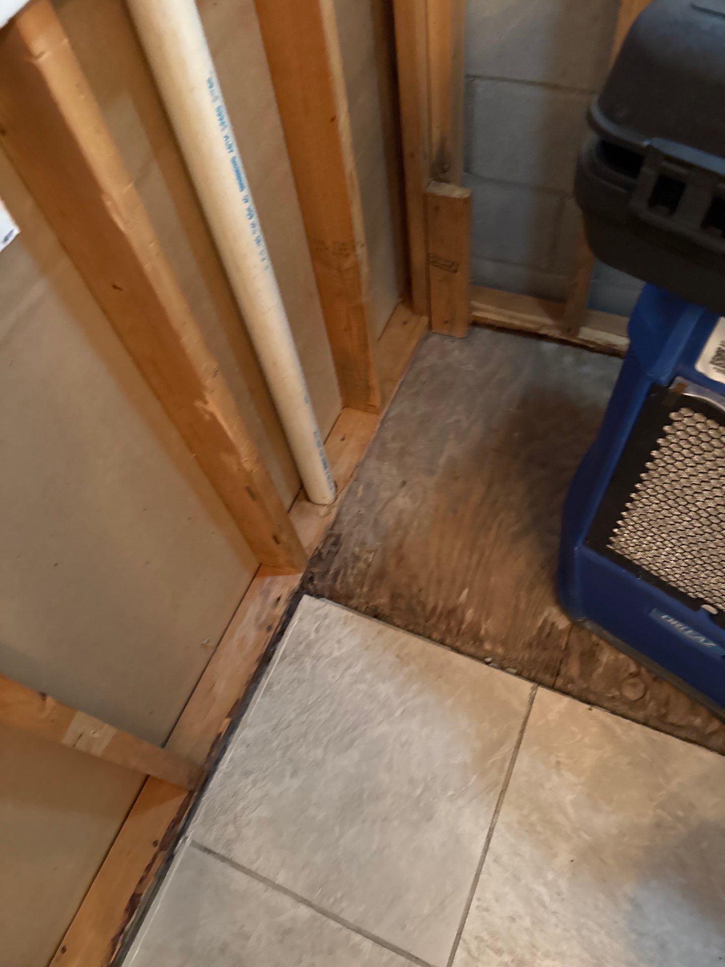 Close-up view of exposed plywood subfloor and wall framing following selective demolition to reveal hidden moisture pockets.