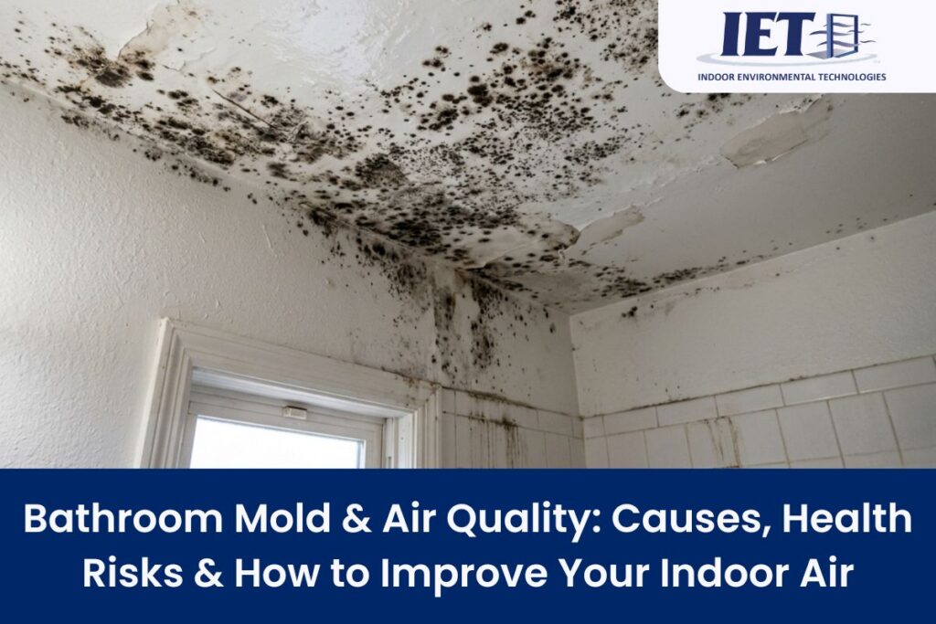 bathroom mold air quality