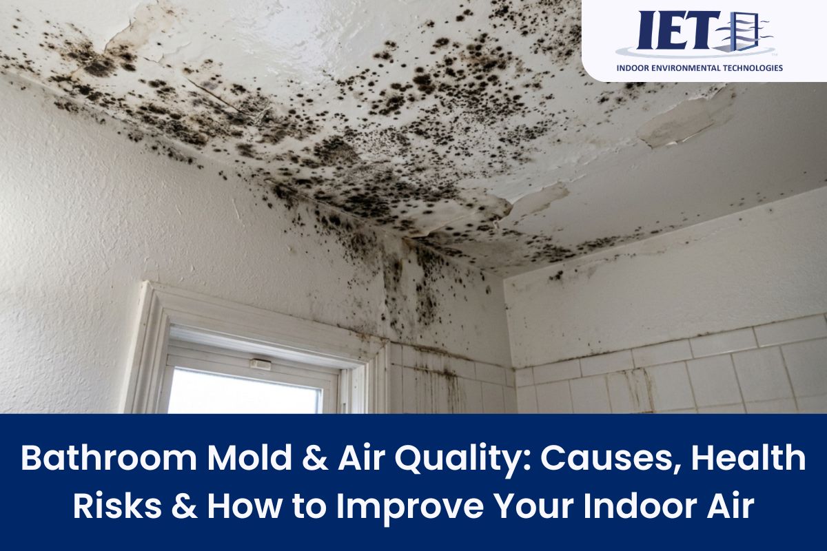 bathroom mold air quality