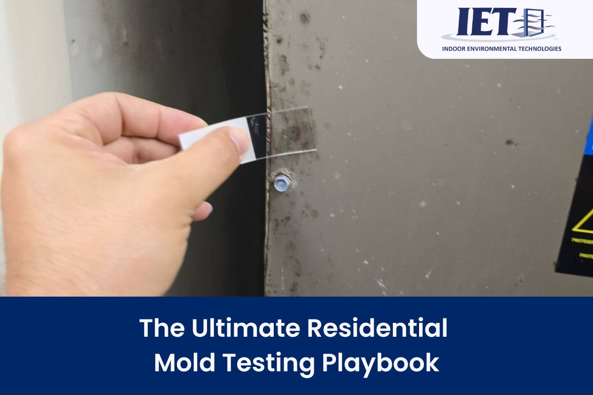 Technician collecting mold sample from wall surface for residential mold testing and inspection.
