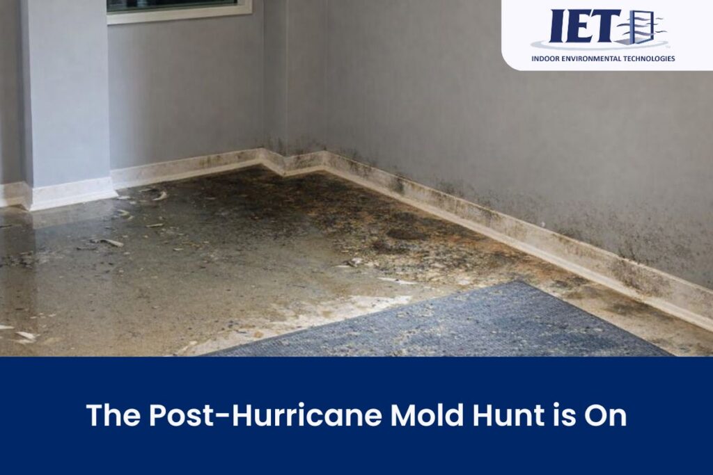 hurricane mold inspection florida