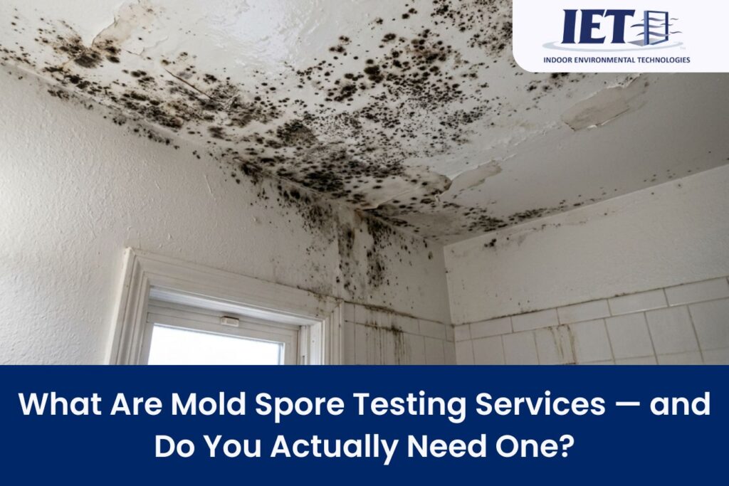 mold spore testing services