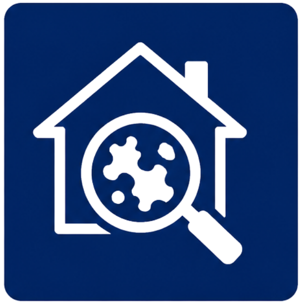 Mold Inspection Home