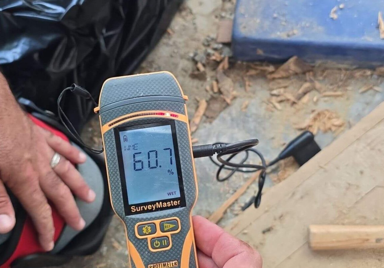 indoor air quality and mold assessments 004