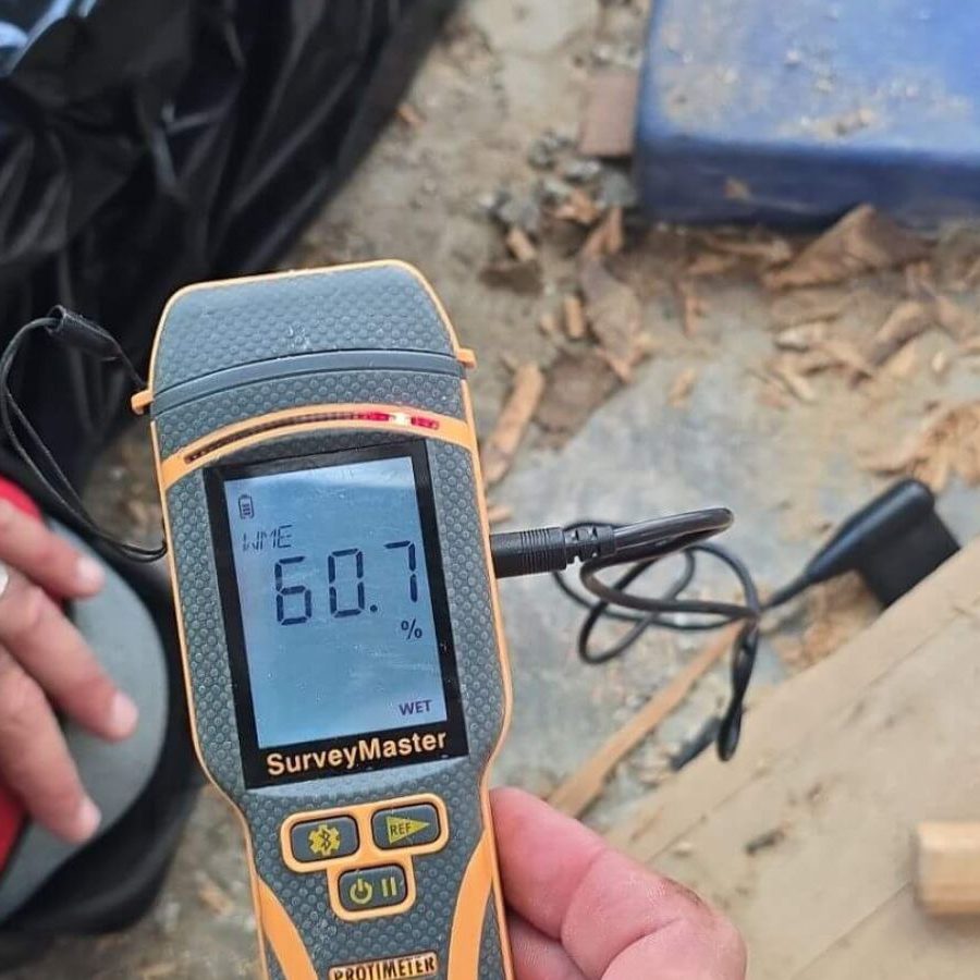 indoor air quality and mold assessments 004