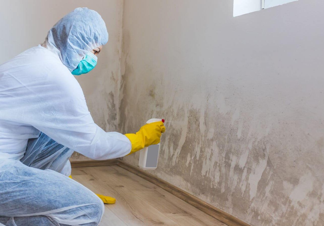 A person wearing a protective suit, mask, and gloves sprays a wall with mold or mildew.