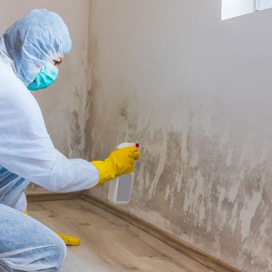A person wearing a protective suit, mask, and gloves sprays a wall with mold or mildew.