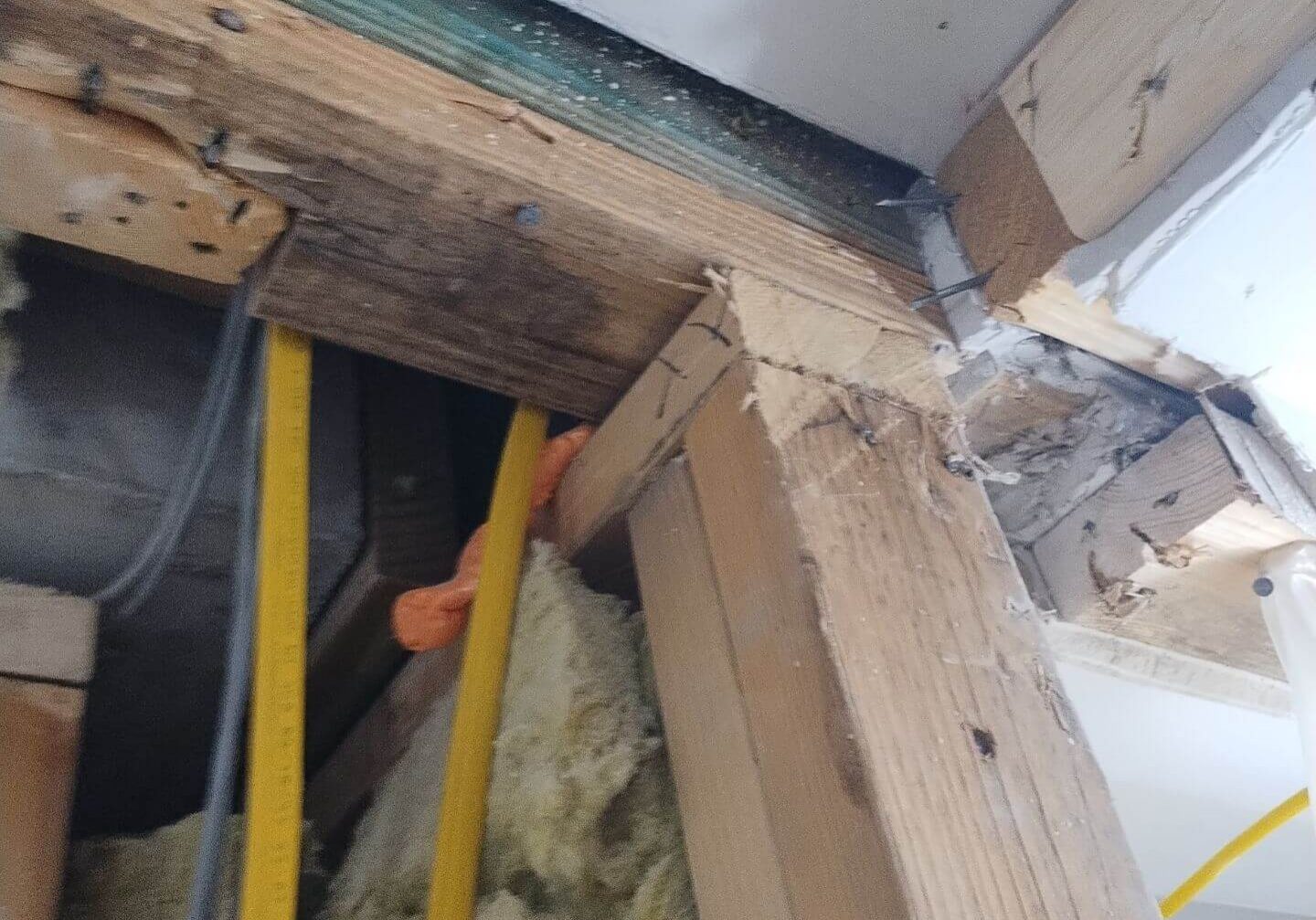 Close-up of significant mold growth and water damage on internal wall framing and wood studs.